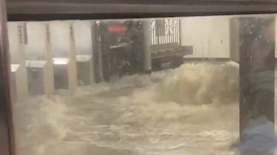 צילום: מתוך רשת X